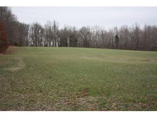 Property photo 3 - LAND AUCTION - 138+/- ACRES OFFERED IN 3 TRACTS IN SPENCER COUNTY, INDIANA